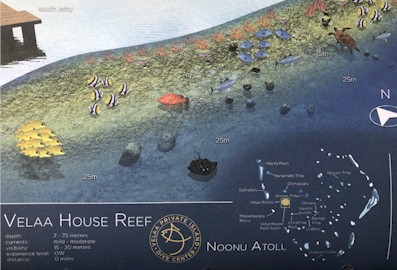 Velaa House Reef